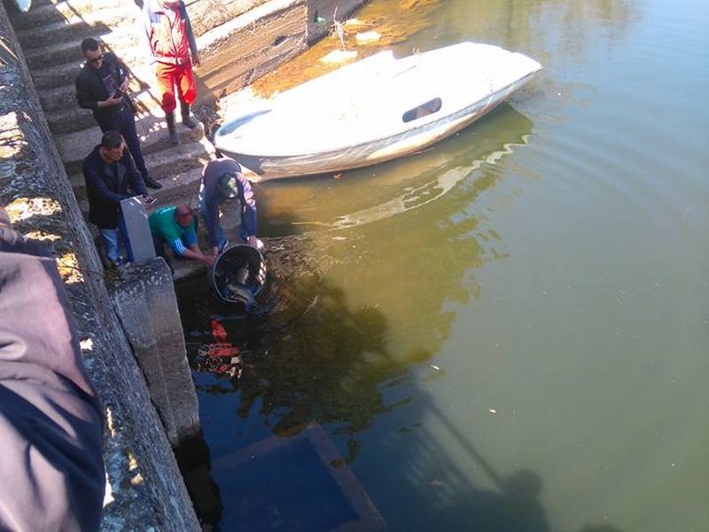 Второ порибување на езерото Градче крај Кочани