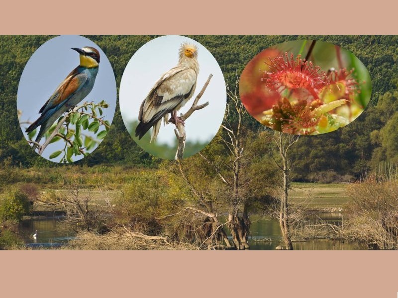 И Македонија се поврзува со природата на Светскиот ден на животната средина