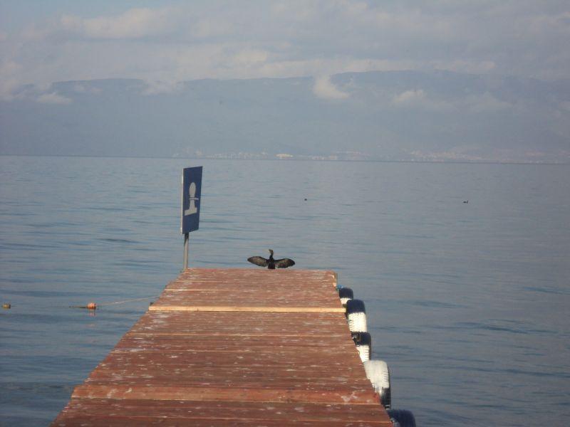 Расте нивото на Охридско Езеро