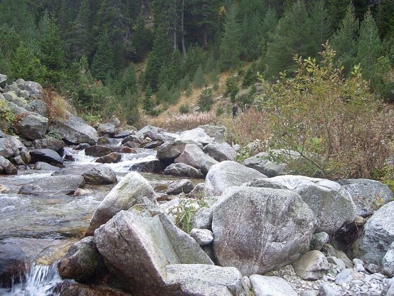 Кочани и Штип ќе се вклучат во прокетот Планински велосипедски рај 