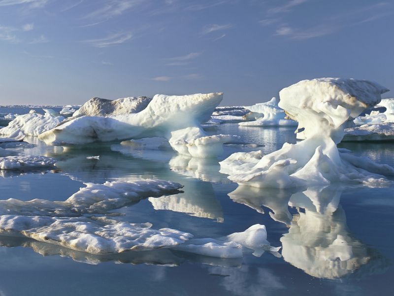 Светските лидери да преземат мерки околу топењето на мразот на Арктикот