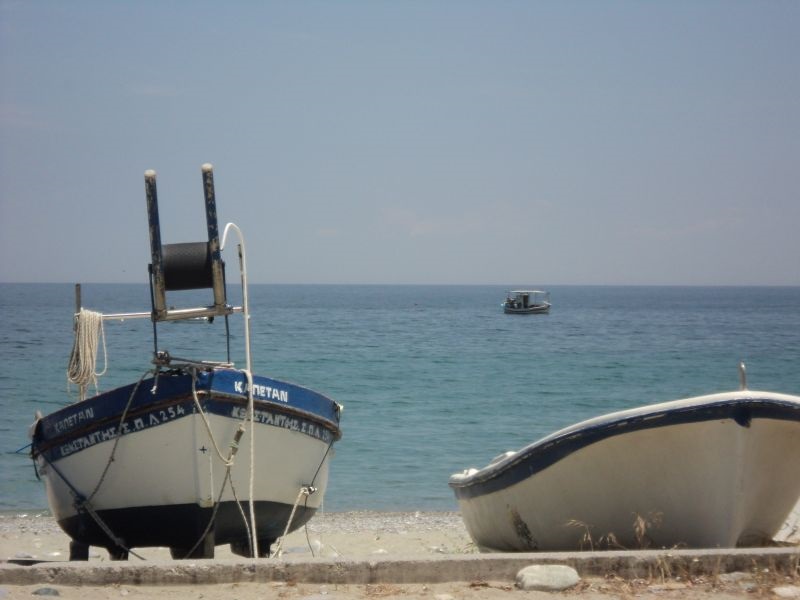 Дел од Егејско Море служи како болница за морски животни