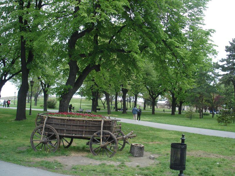 Септември прогласен за зелен месец во Србија