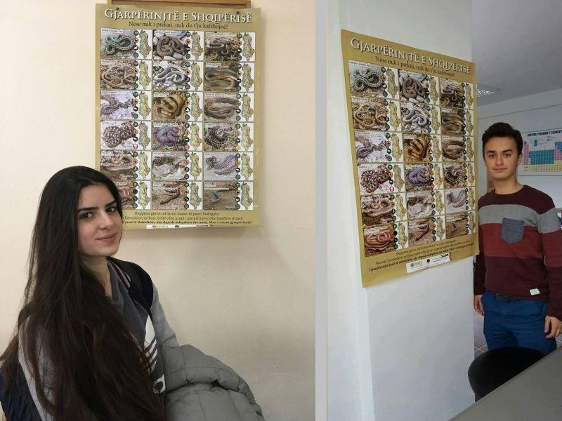 Средношколци во Албанија учат да не ги убиваат змиите