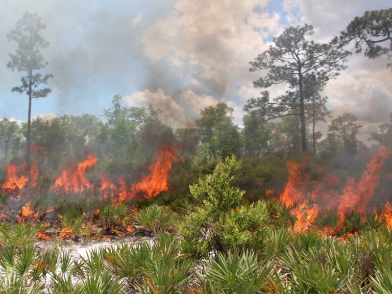 Пожар на островот Лезбос