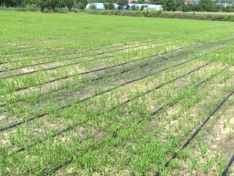 Пониски такси за разумно користење вода во земјоделството и туризмот 