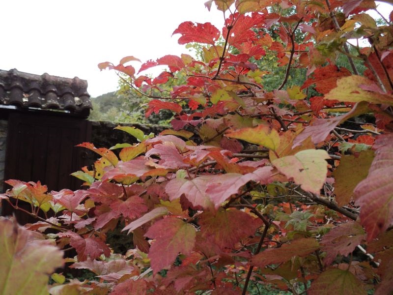 Ноември постуден, а декември потопол од просекот