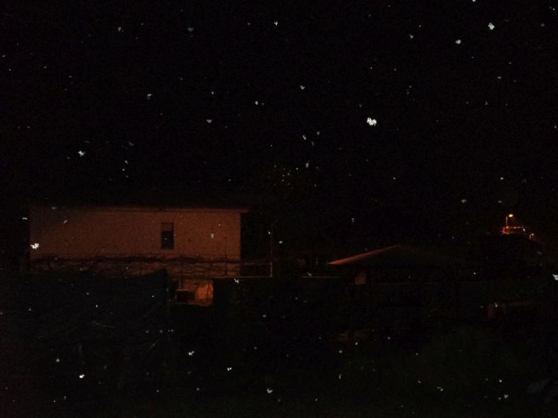 Мерки за справување со студениот бран