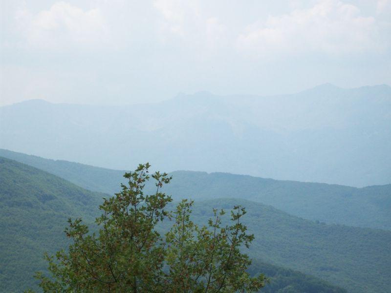 Во август сме имале просечни температури и натпросечни врнежи