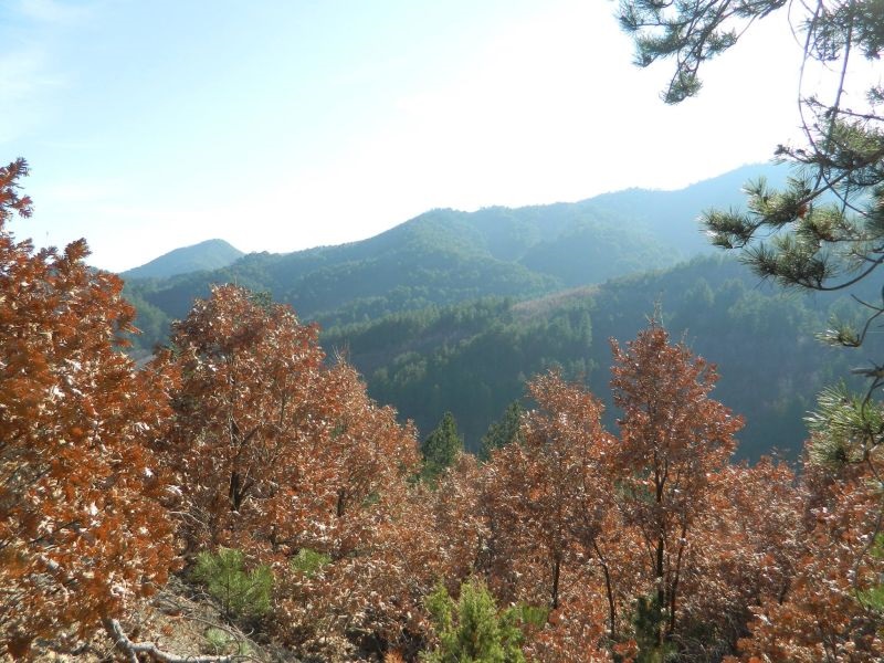 Почнува да се гради Конска брана кај Гевгелија