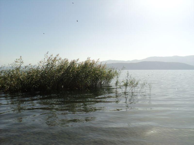 Дезинсекција околу целото Преспанско Езеро