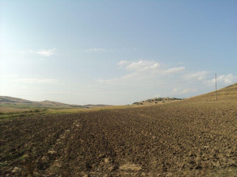 Незначително зголемени цените во земјоделството