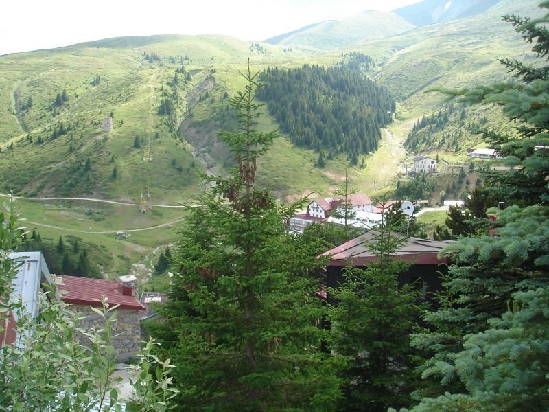 Ќе се заштитува биолошката разновидност во Македонија