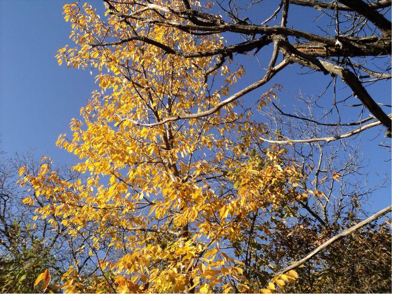 Денеска и утре студено, затоплување од задутре