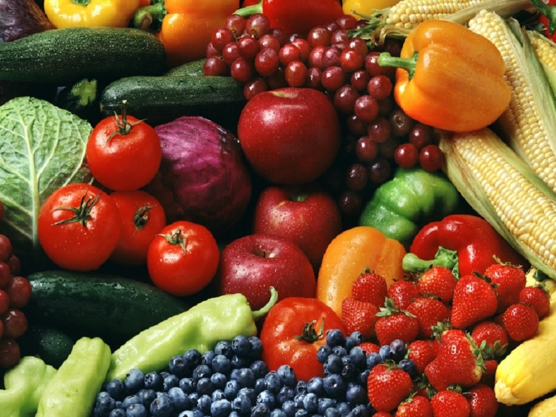 Работилница стандардите во органското земјоделство 