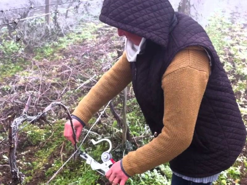 УХМР: Временските услови погодни за земјоделски активности 