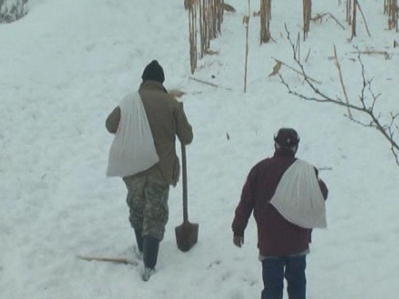 Ловџиите извршија прихрана на дивеч во Липковско 