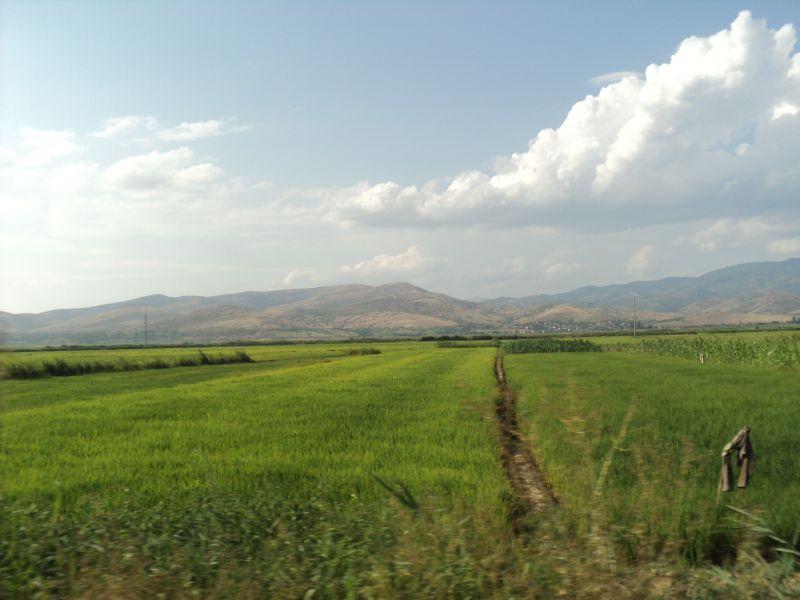 УХМР: Врменските услови ќе овозможат стабилно земјоделско производство