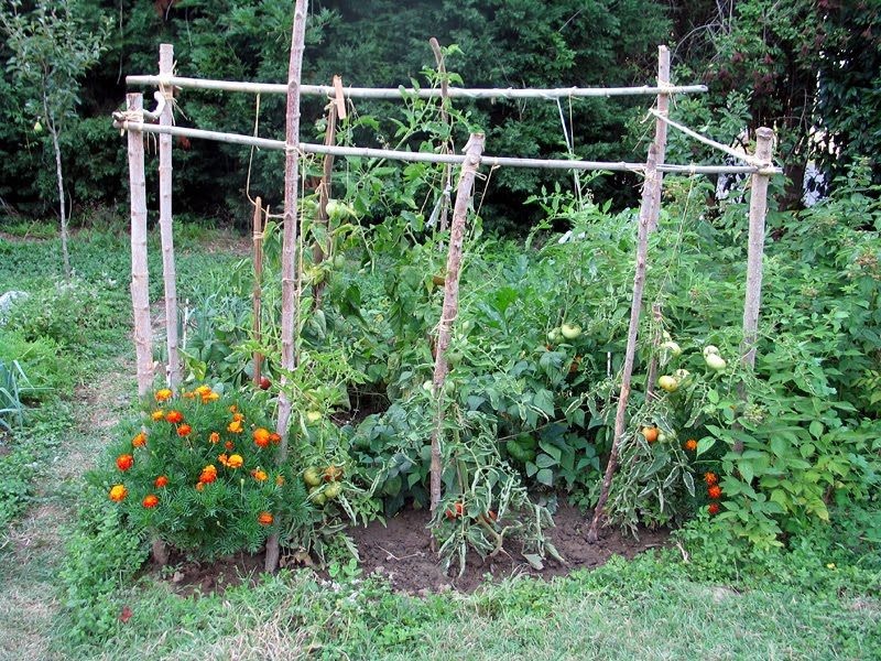 Македонија има исклучителен потенцијал во органското земјоделство