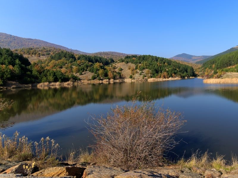 Отошничка брана порибена со 102 килограми крап (видео)