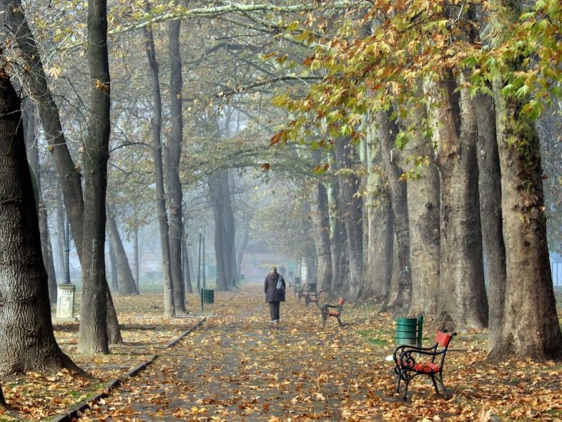 УХМР: Блага зима со повисоки температури и повеќе врнежи од просекот