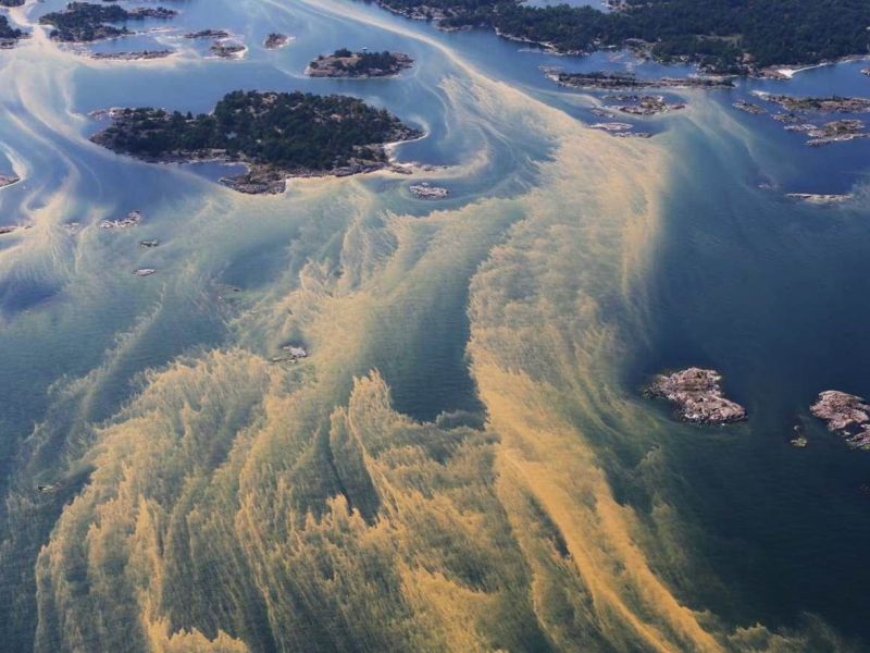 Шведска го претстави новиот Закон за клима