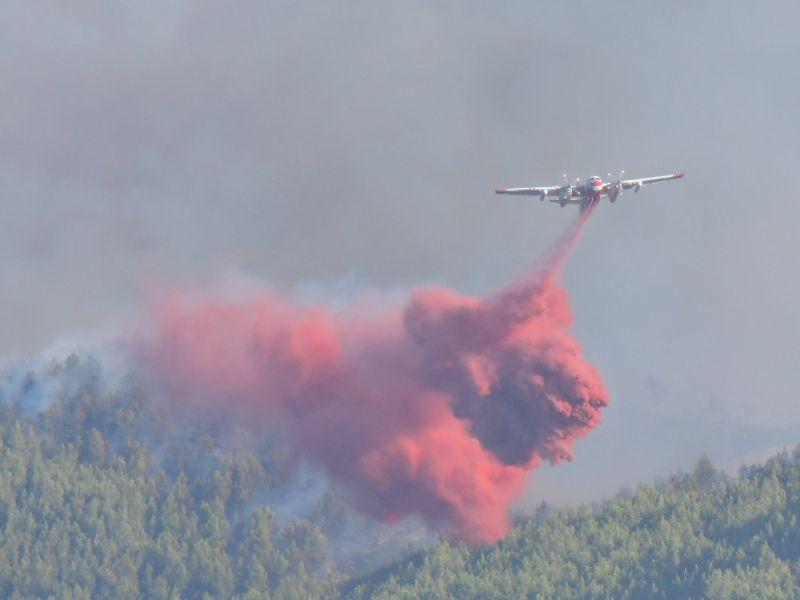 Пожари во јужна Франција уништија илјада хектари 