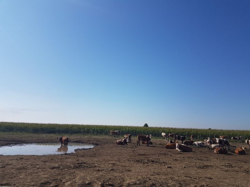 Емисиите на метан се во пораст