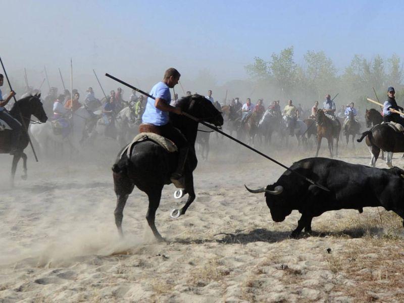 Шпанија по седум века го забрани убивањето бикови со копје