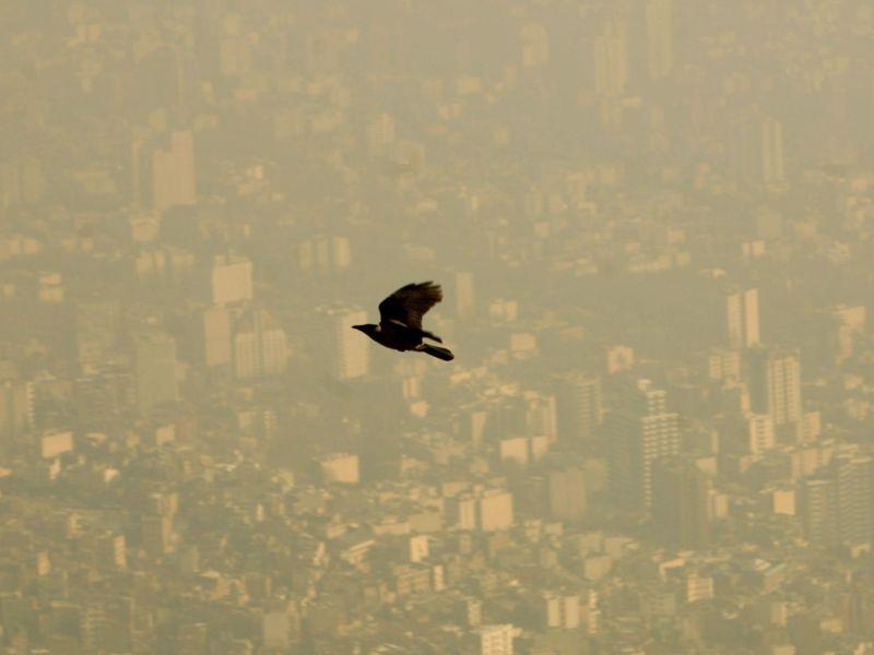 Затворени училиштата во Техеран поради загадување на воздухот