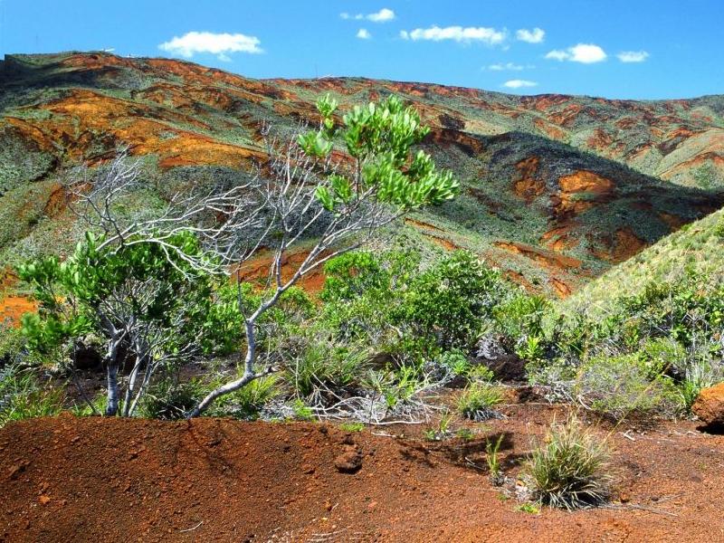 Четири лица загинаа од свлечиште во Нова Каледонија