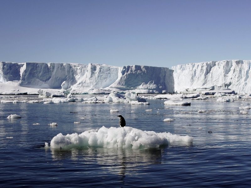 Морето Рос во Антарктикот стана најголемата заштитена морска зона во светот